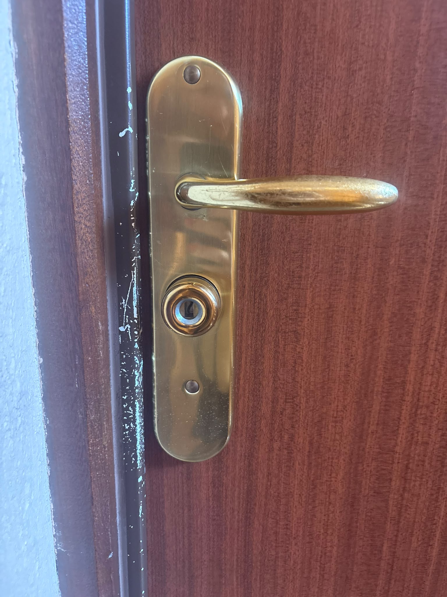 Serrure et poignée de porte d'entrée remises en état